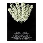 productHero-SPOTWF-BP80532461-ivory