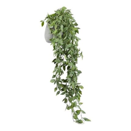 productHero-SPOTWF-BP80535465-green