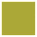 productHero-SPOTWF-BP80542271-anis-2