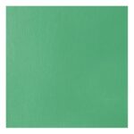 productHero-SPOTWF-BP80545904-bright-aqua-green-2
