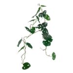 productHero-SPOTWF-BP80547775-green