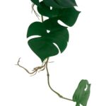 productHero-SPOTWF-BP80547775-green-3