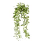 productHero-SPOTWF-BP80547785-green-white
