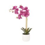productHero-SPOTWF-BP80548507-magenta