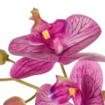 productHero-SPOTWF-BP80548507-magenta-4
