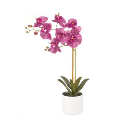 productHero-SPOTWF-BP80548507-magenta