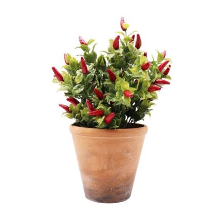 productHero-SPOTWF-BP80552985-red-green