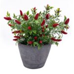 productHero-SPOTWF-BP80552986-green-2