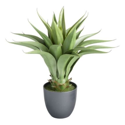 productHero-SPOTWF-BP80559896-green