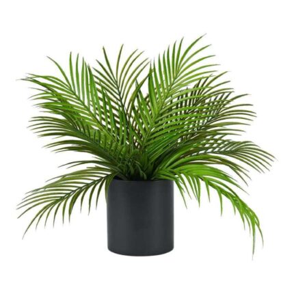 productHero-SPOTWF-BP80560219-green