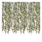 productHero-SPOTWF-BP80560780-green