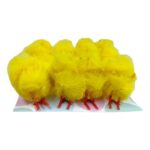 productHero-SPOTWF-BP80564455-yellow-7