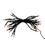 productHero-SPOTWF-BP80576720-orange-4