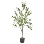 productHero-SPOTWF-BP80580444-green
