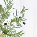 productHero-SPOTWF-BP80580444-green-2