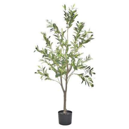 productHero-SPOTWF-BP80580444-green