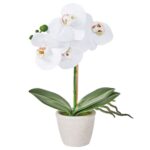 productHero-SPOTWF-BP80582955-white