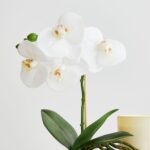 productHero-SPOTWF-BP80582955-white-3