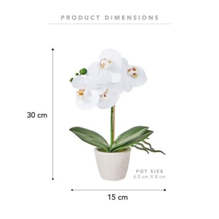 productHero-SPOTWF-BP80582955-white-4