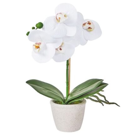 productHero-SPOTWF-BP80582955-white