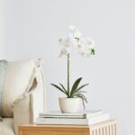 productHero-SPOTWF-BP80582956-white