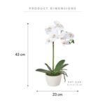 productHero-SPOTWF-BP80582956-white-2