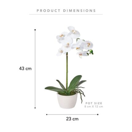 productHero-SPOTWF-BP80582956-white-2