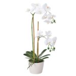 productHero-SPOTWF-BP80582957-white