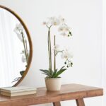 productHero-SPOTWF-BP80582957-white-2