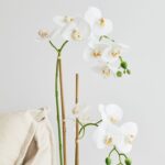 productHero-SPOTWF-BP80582957-white-3