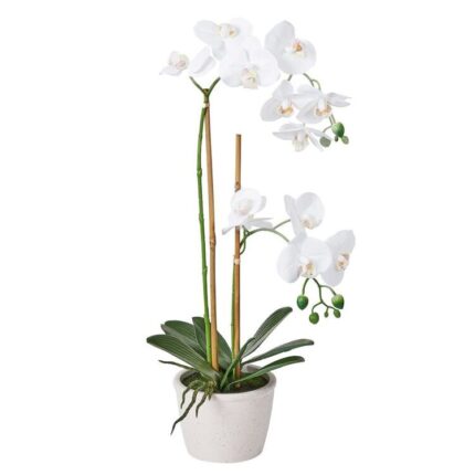 productHero-SPOTWF-BP80582957-white