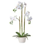 productHero-SPOTWF-BP80589608-white