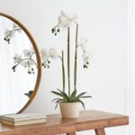 productHero-SPOTWF-BP80589608-white-2