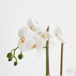 productHero-SPOTWF-BP80589608-white-3