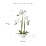 productHero-SPOTWF-BP80589608-white-4