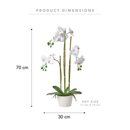 productHero-SPOTWF-BP80589608-white-4