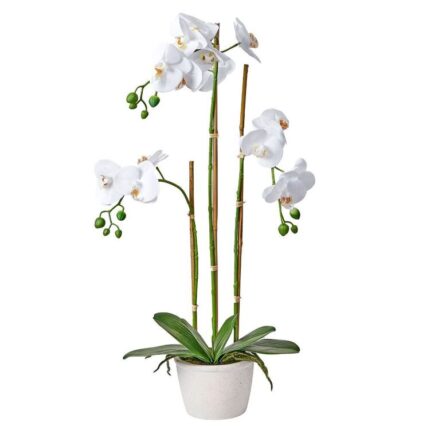 productHero-SPOTWF-BP80589608-white