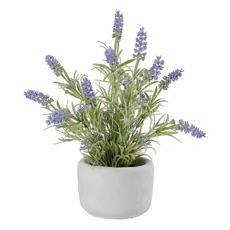 productHero-SPOTWF-BP80603797-lilac productHero-SPOTWF-BP80603797-lilac