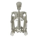 productHero-SPOTWF-BP80606368-multicoloured-4