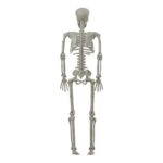 productHero-SPOTWF-BP80606368-multicoloured-6