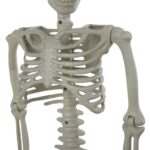 productHero-SPOTWF-BP80606368-multicoloured-8