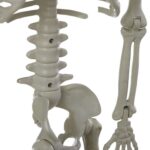 productHero-SPOTWF-BP80606368-multicoloured-9