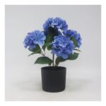 productHero-SPOTWF-BP80613438-blue
