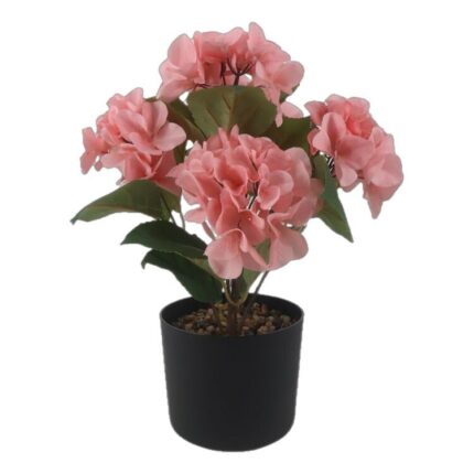 productHero-SPOTWF-BP80613438-pink