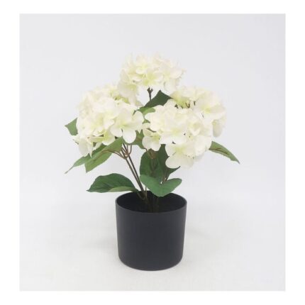 productHero-SPOTWF-BP80613438-white