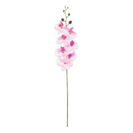 productHero-SPOTWF-BP80613487-light-pink