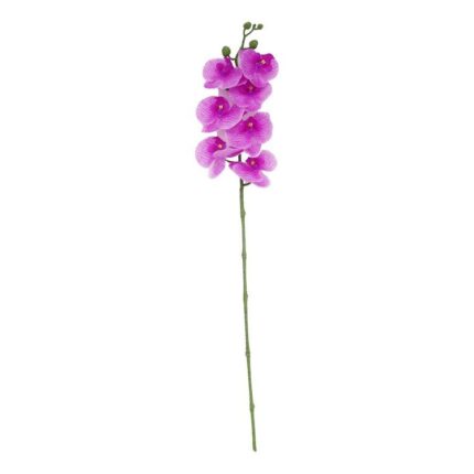 productHero-SPOTWF-BP80613487-pink