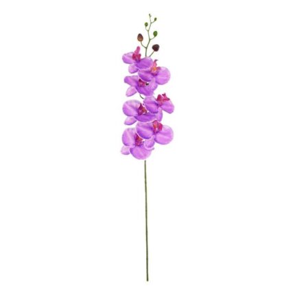 productHero-SPOTWF-BP80613487-purple