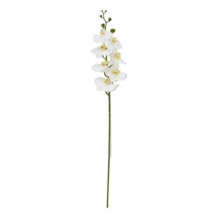 productHero-SPOTWF-BP80613487-white