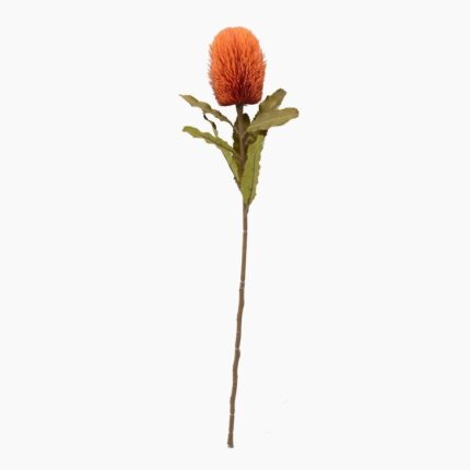 productHero-SPOTWF-BP80613488-orange